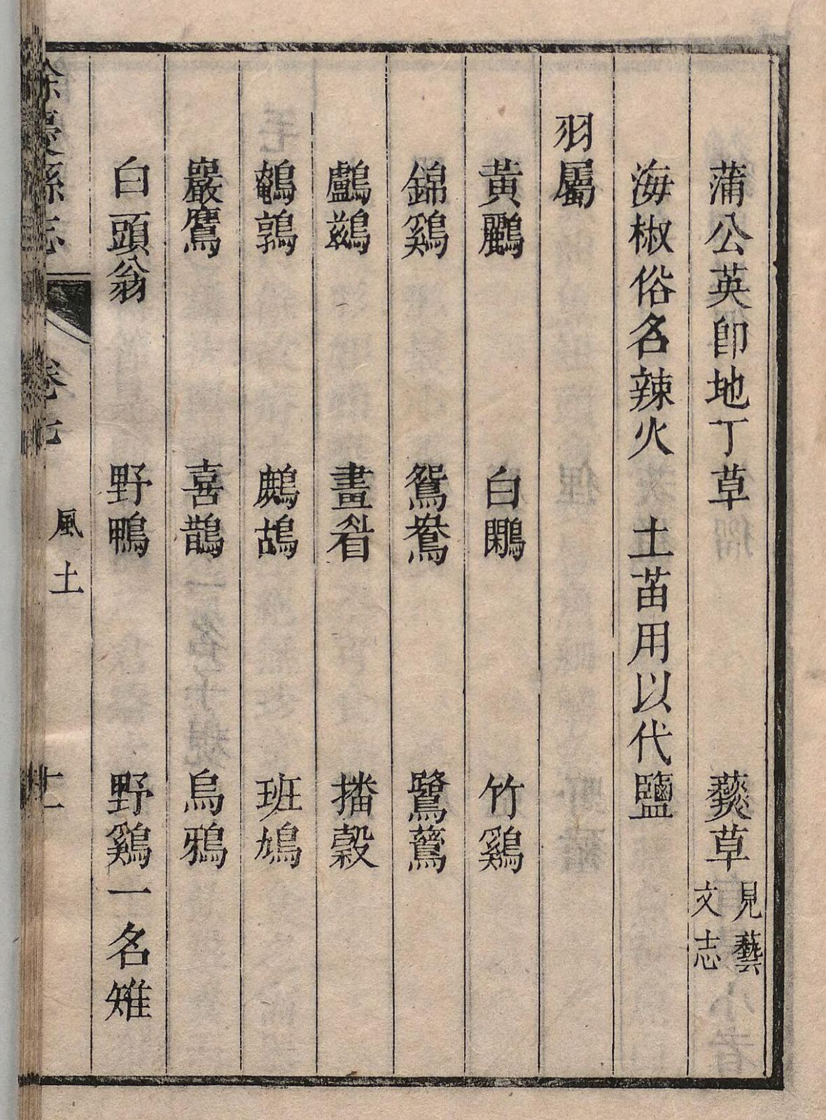 1718年刊《余庆县志》卷七《风土志·土产》叶十一a，“海椒俗名辣火土苗用以代鹽”及相邻药品、羽属