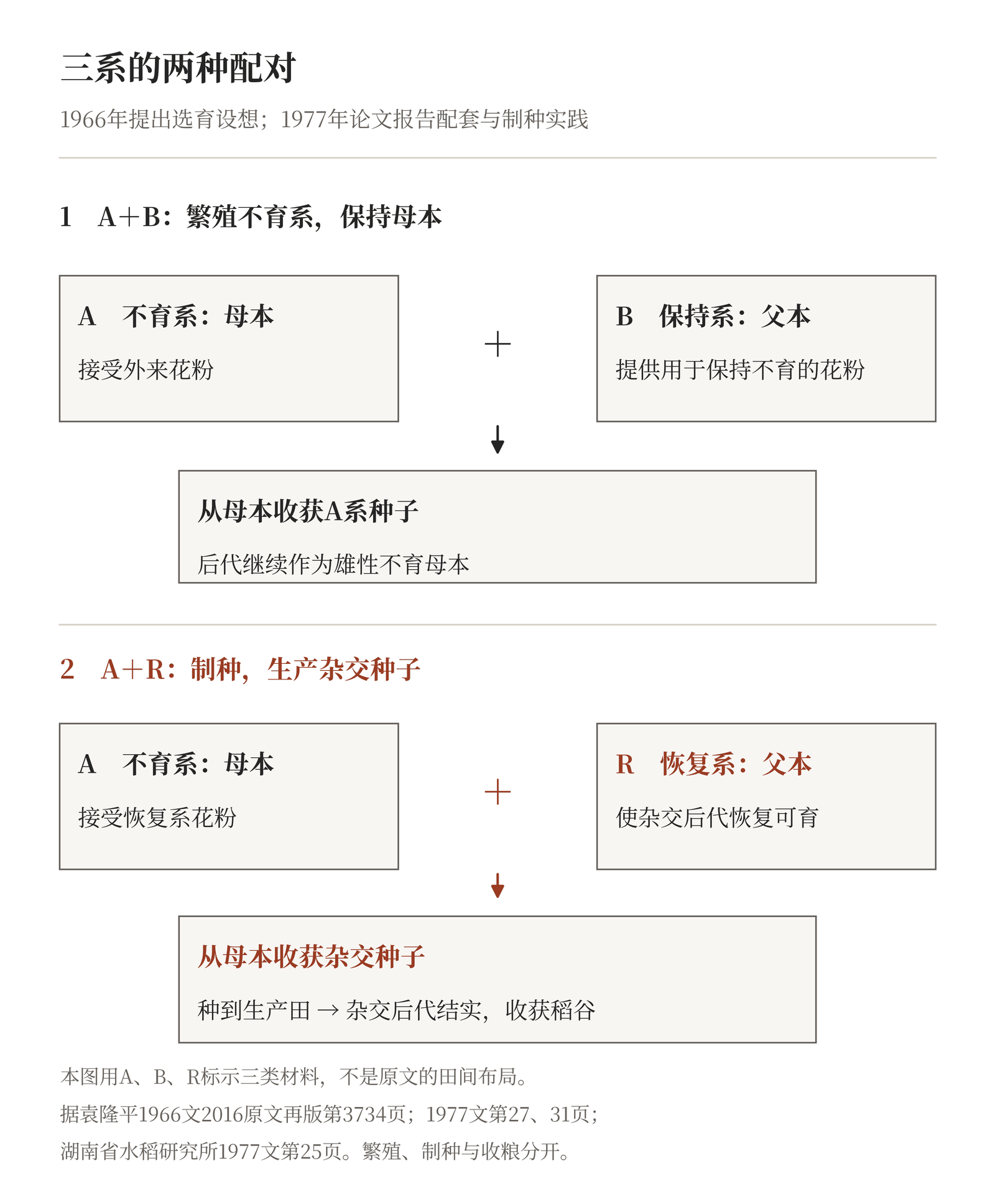 三系关系示意：A＋B用于繁殖并保持雄性不育母本，A＋R用于生产杂交种，杂交种种入生产田后由可育后代结实
